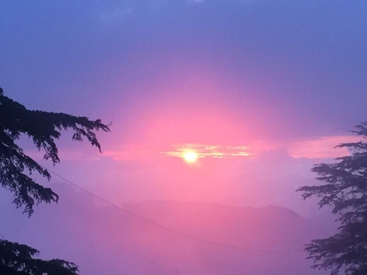 Simla View Bed & Breakfast Bagian luar foto